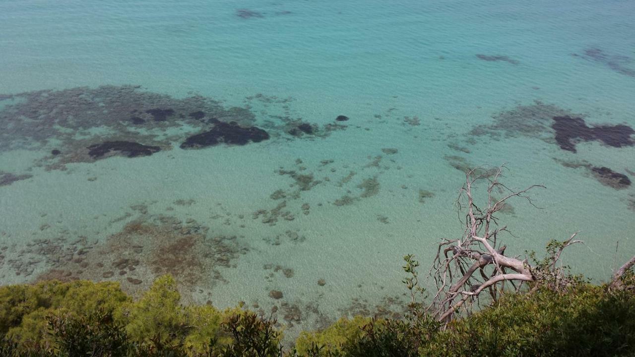 Sani Beach Villa Εξωτερικό φωτογραφία